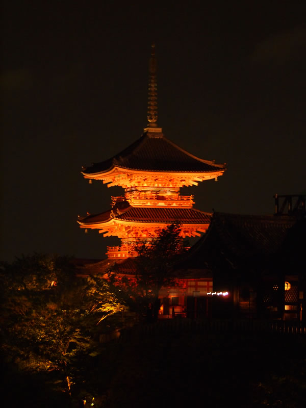 清水寺　夜の特別拝観