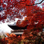 京都 南禅寺の紅葉(Autumn leaves of Nanzenji temple in Kyoto,Japan)