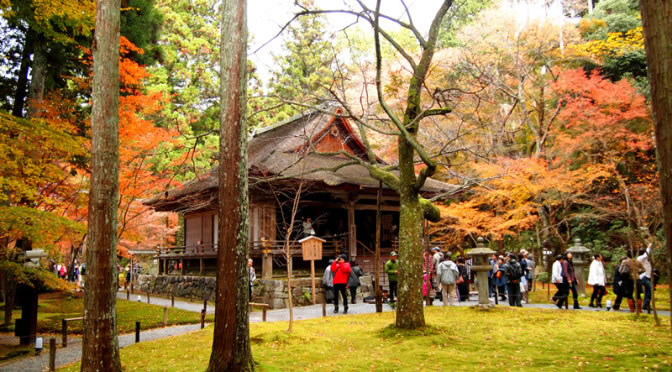 京都 大原 三千院門跡の紅葉(Autumn leaves of Sanzenin-monzeki temple in Kyoto,Japan)