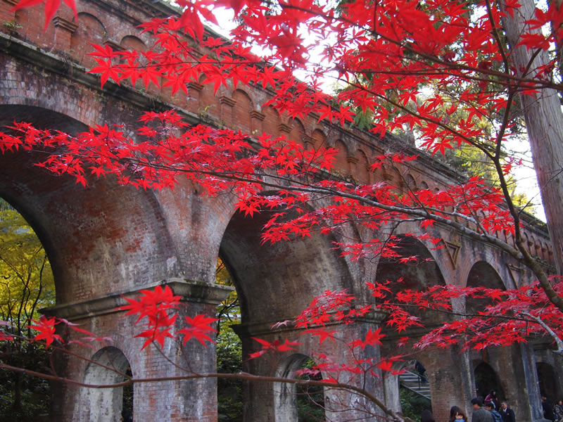南禅寺の紅葉　水路閣