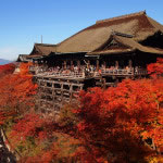 京都 清水寺の紅葉(Autumn leaves of Kiyomizudera temple in Kyoto,Japan)