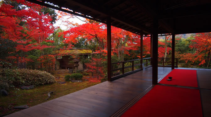 京都 妙心寺塔頭 大法院の紅葉(Autumn leaves of Daihoin Myoshinji temple in Kyoto,Japan)