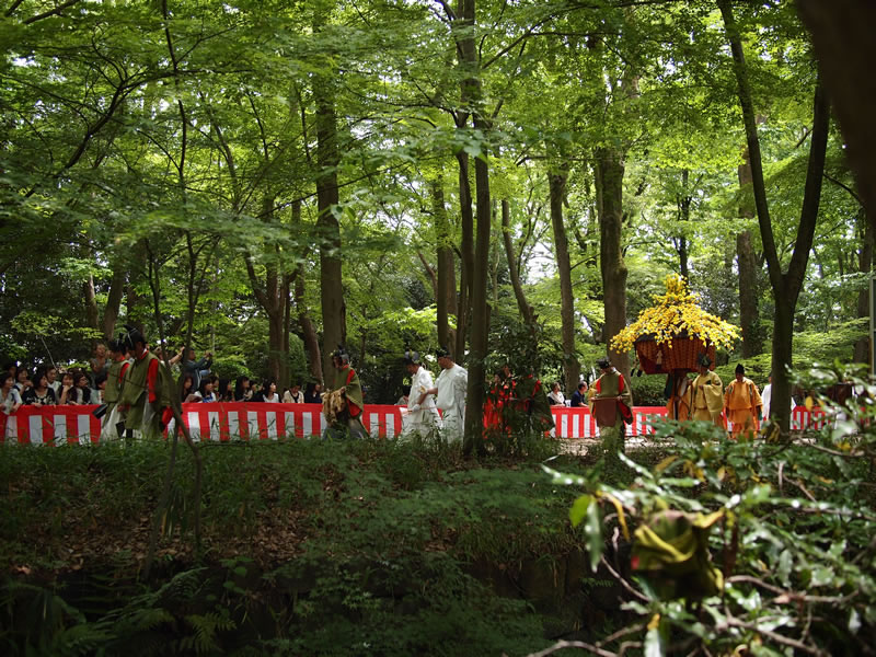 葵祭　糺の森　下鴨神社