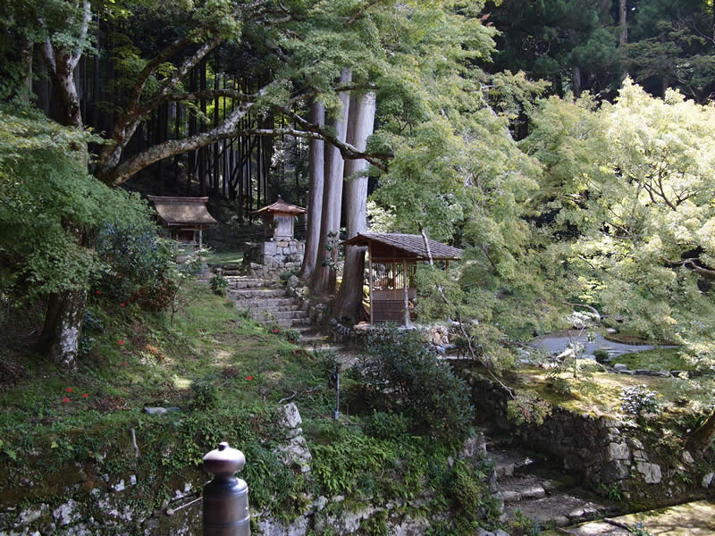 京都 大原 勝林院(Shorinin temple in Kyoto,Japan)