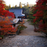 京都 高雄 神護寺の紅葉(Autumn leaves of Jingoji temple in Kyoto,Japan)