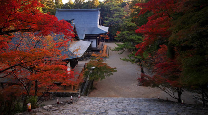 京都 高雄 神護寺の紅葉(Autumn leaves of Jingoji temple in Kyoto,Japan)