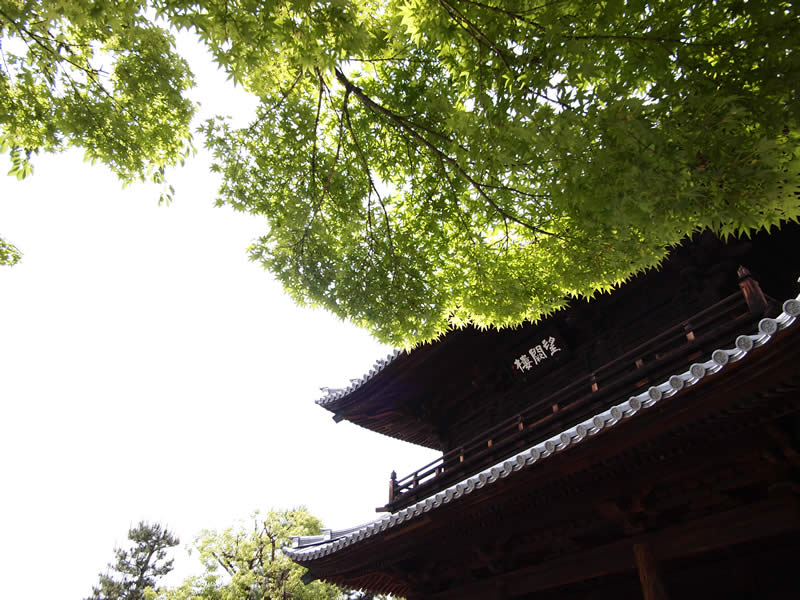 京都 建仁寺(Kenninji temple in Kyoto,Japan)