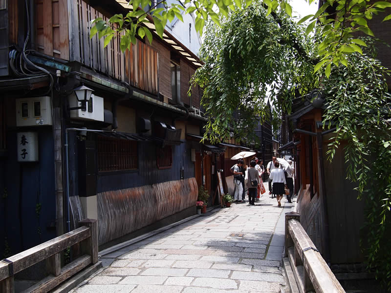 京都 祇園白川の紫陽花(Hydrangea of Gion Shirakawa street in kyoto,Japan)