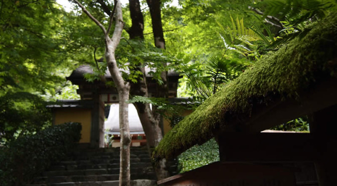 京都 大原 寂光院(Jakkoin temple in Kyoto,Japan)