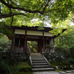 京都 嵯峨野 常寂光寺(Jojakkoji temple in Kyoto,Japan)