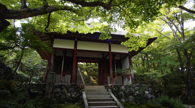 京都 嵯峨野 常寂光寺(Jojakkoji temple in Kyoto,Japan)