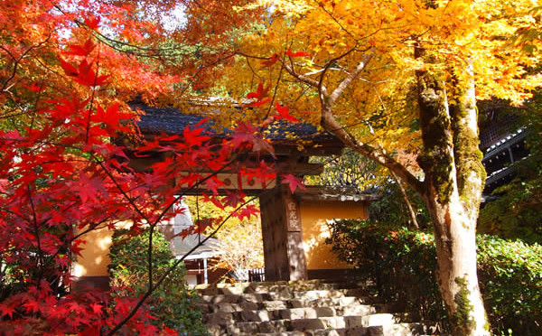 京都 大原 寂光院の紅葉(Autumn leaves of Jakkoin temple in Kyoto,Japan)