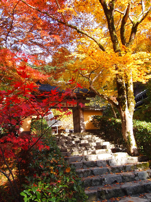 京都 大原 寂光院の紅葉(Autumn leaves of Jakkoin temple in Kyoto,Japan)