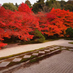 京都 南禅寺塔頭 天授庵の紅葉(Autumn leaves of Tenjyuan Nanzenji temple in Kyoto,Japan)