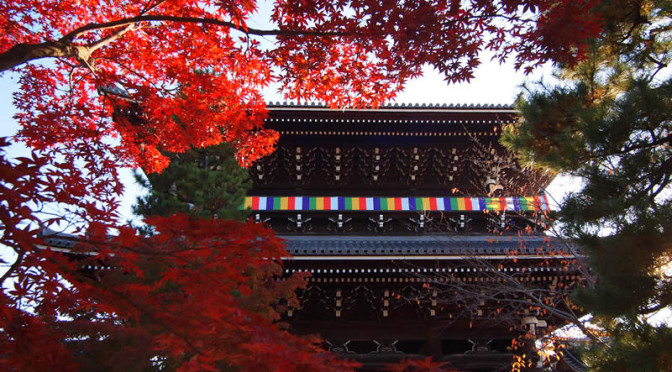 京都 金戒光明寺の紅葉(Autumn leaves of Konkaikoumyoji temple in Kyoto,Japan)