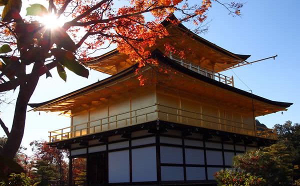 京都 金閣寺の紅葉(Autumn leaves of Kinkakuji temple in Kyoto,Japan)