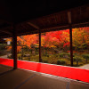 京都 圓光寺の紅葉(Autumn leaves of Enkouji in Kyoto,Japan)